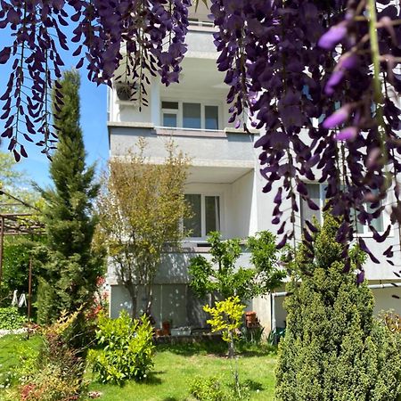 Family Hotel "May" Petrich  Exterior photo